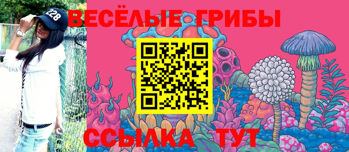 Псилоцибиновые грибы MAGIC MUSHROOMS Чехов