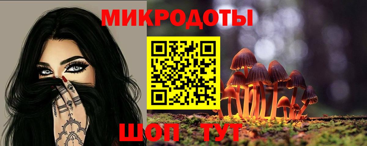 Галлюциногенные грибы MAGIC MUSHROOMS  Вход с VPN  Чехов 