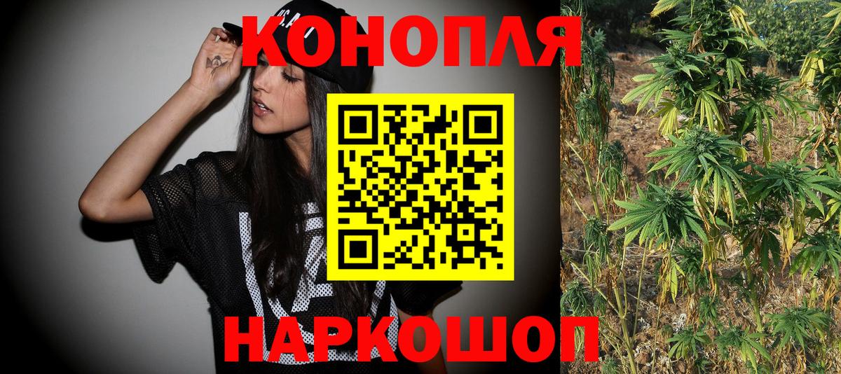 Каннабис сатива Чехов